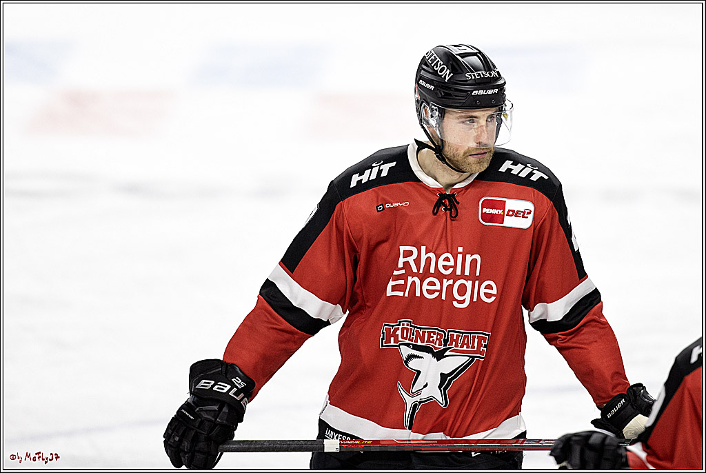 PENNY DEL;  Koelner Haie - Iserlohn Roosters; Koeln, 20.02.2022